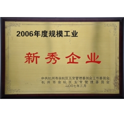 荣誉认证7